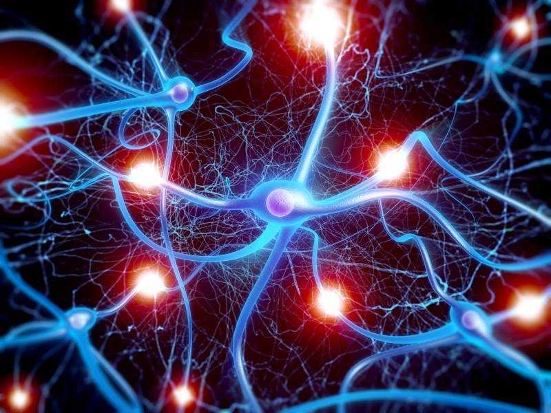 ¿Las experiencias tempranas impactan nuestros genes?