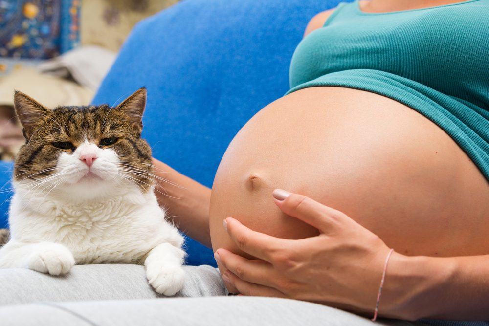 ¿Qué es la toxoplasmosis y cómo puedo prevenirla?