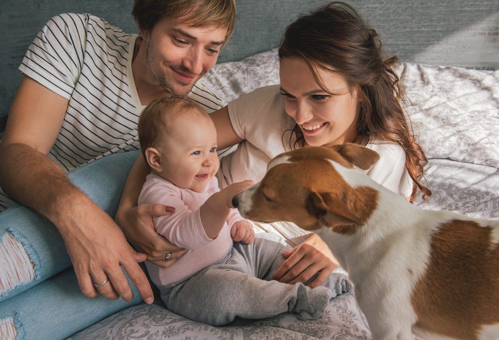 Tener una mascota puede proteger a tu bebé de la obesidad y las alergias