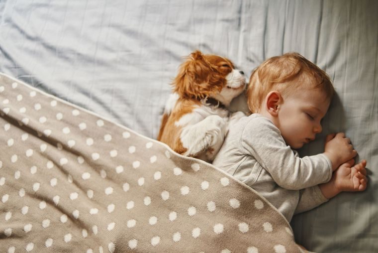 Comprende qué es la regresión del sueño y cómo lidiar con ella