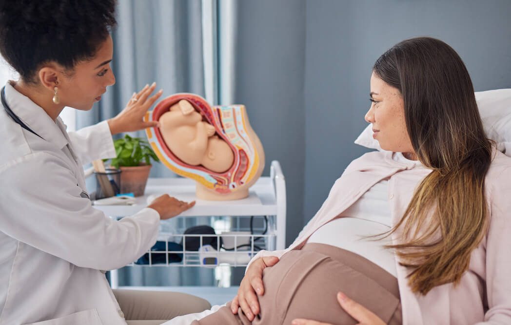 Eritroblastosis Fetal: Qué es, Síntomas, Prevención y Tratamiento