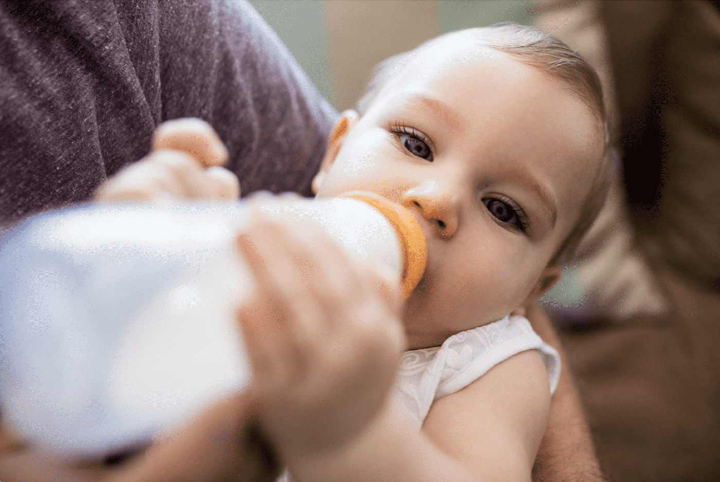 ¿Cómo debería ser el horario de alimentación de un bebé de 6 meses?