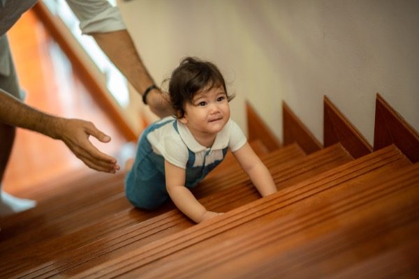 Resumen de Hitos: 12 Meses