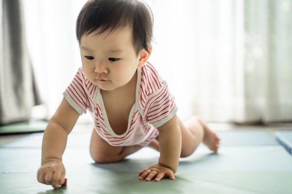 Resumen de hitos: 10 meses