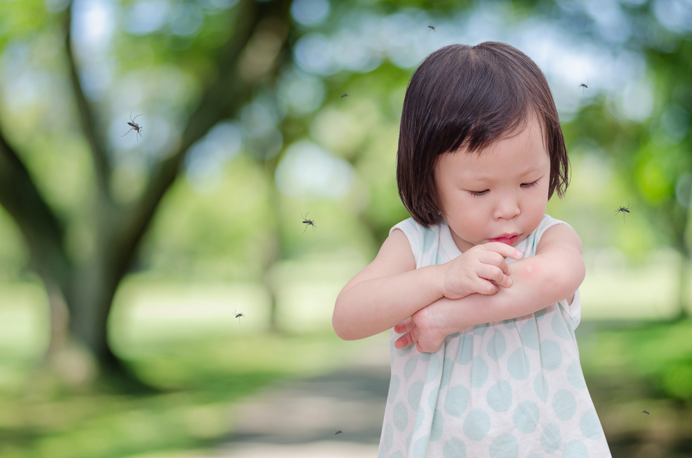 niña apuntando su brazo por una picadura de insecto